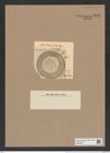 Hyalodiscus radiatus var. biharensis Pant. (de-Toni-Nr.: Genus 219, Species 5497) Zeichnungen Sammlung Grunow Nr. 9448 (NHMW-BOT-W0379305)